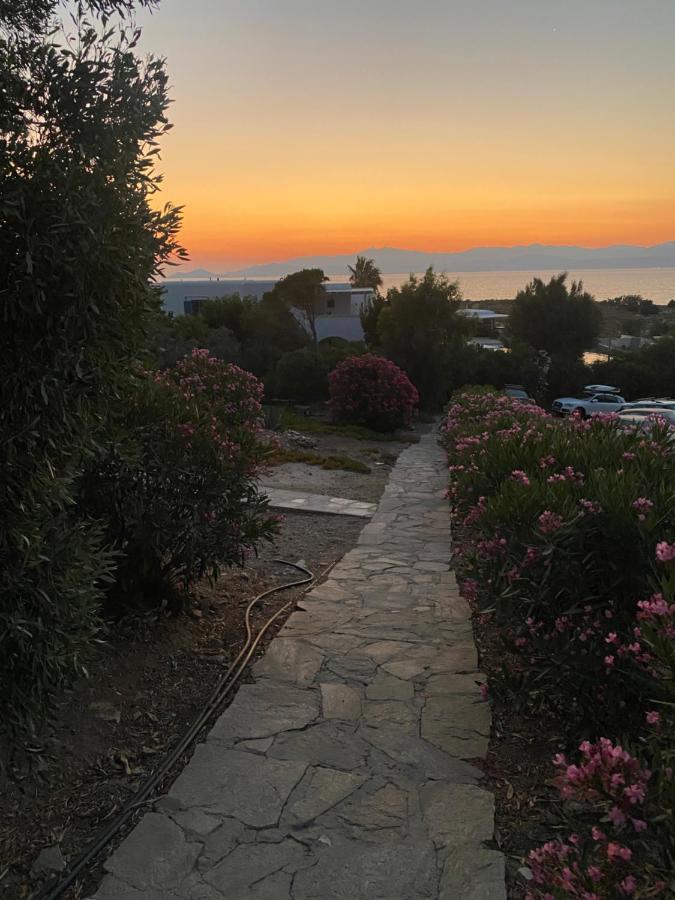 Iliopetra Studios Chrisi Akti  Buitenkant foto
